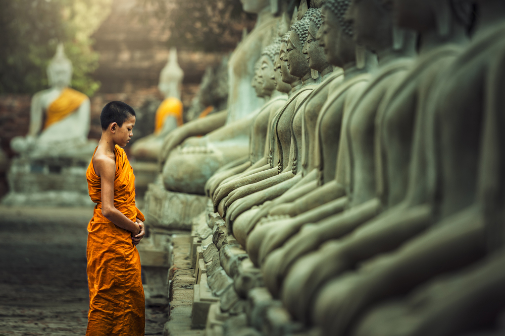 Novices monk vipassana meditation at front of Buddha statue