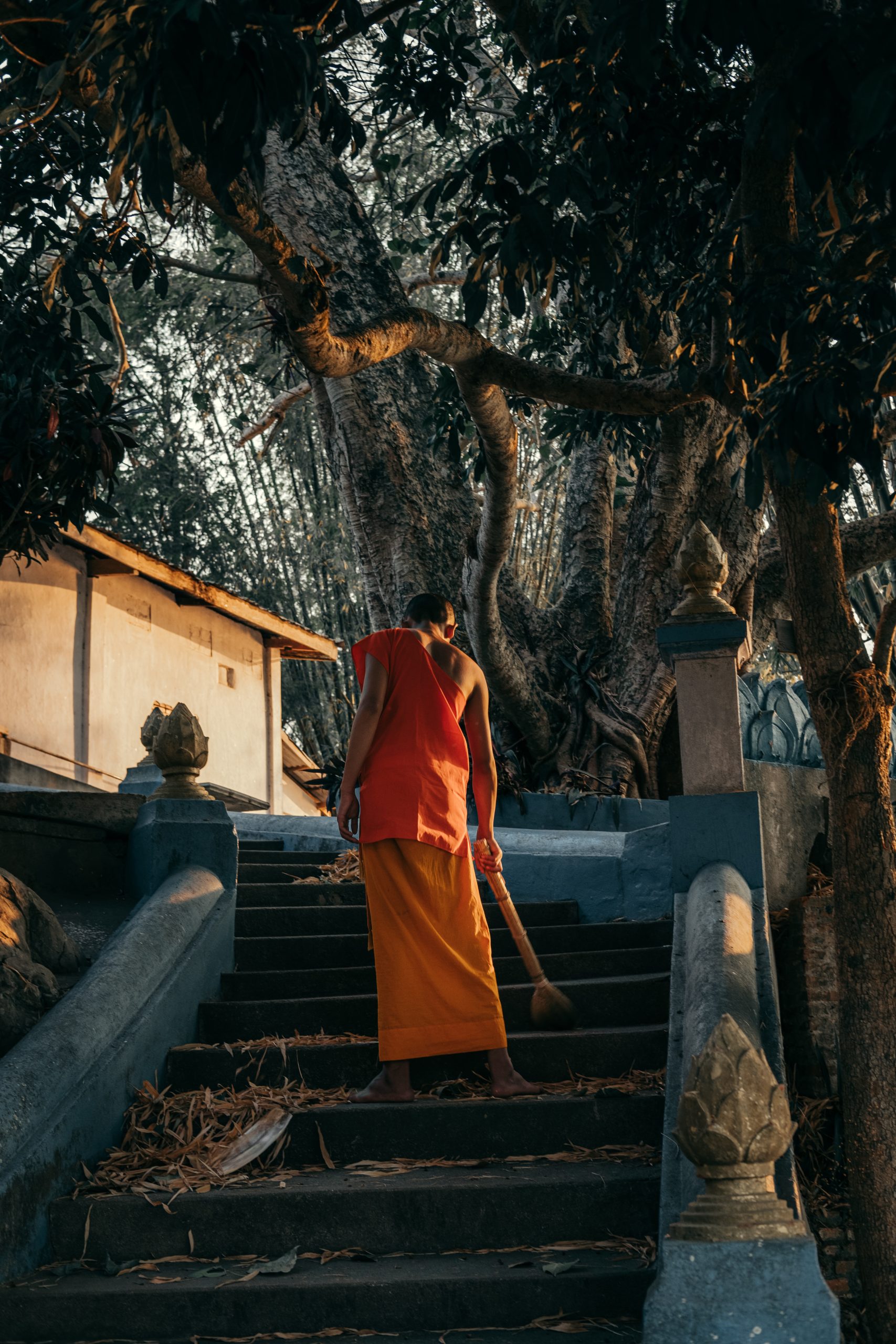 https://travel.vivuvn.vn/wp-content/uploads/2025/04/david-suaza-BGlLB0zZtu8-unsplash-scaled.jpg